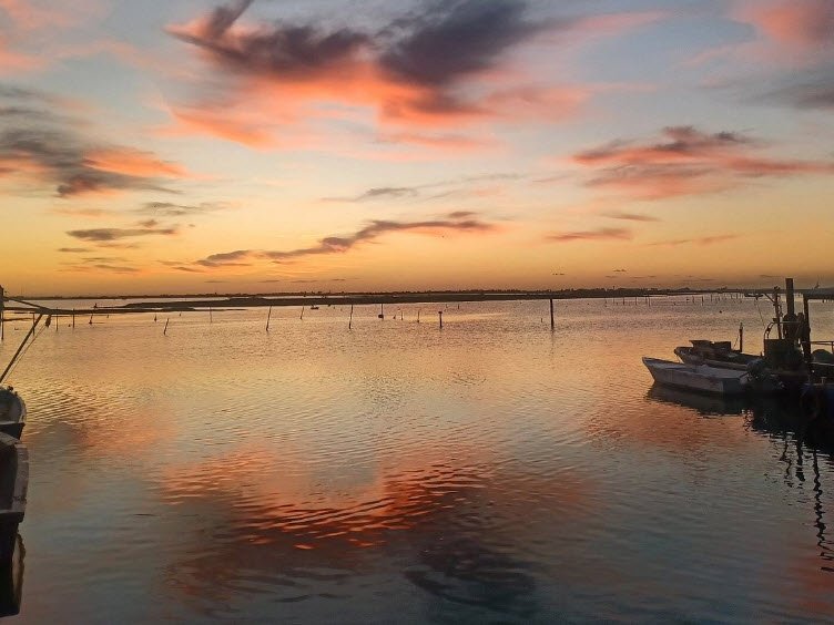 Giardino Botanico litoraneo di Porto Caleri, Italy